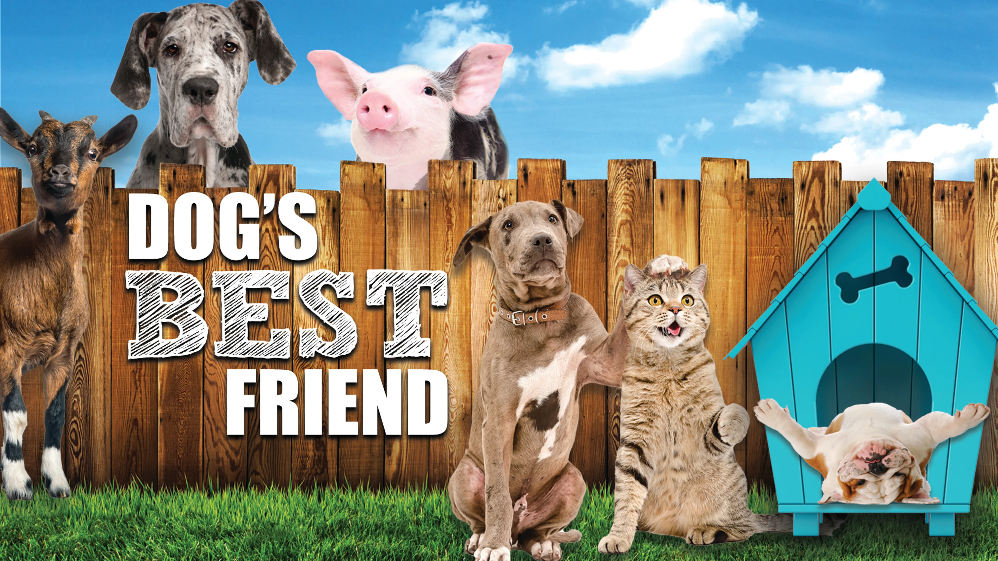 Dog's Best Friend poster